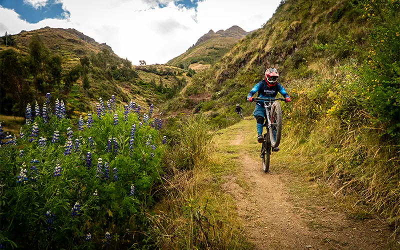Solo rider on clear trail in the Lamay highlands near Cusco (Peru Biking Tours)